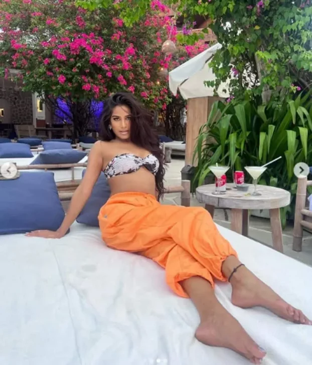 Poonam Pandey Flaunts Her Lush Curves